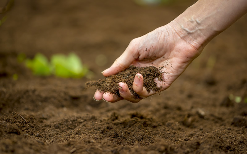 land pollution essay for class 4