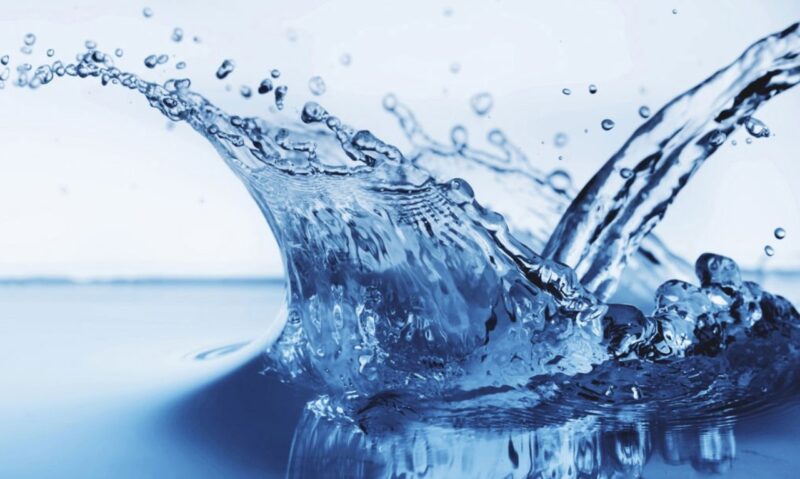 the importance of water in our life essay