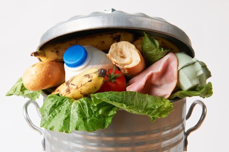 essay on food waste 100 words