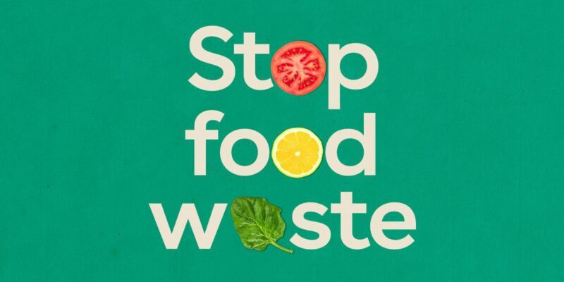 essay on food waste 100 words